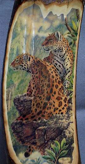 2 Leopards: close-up